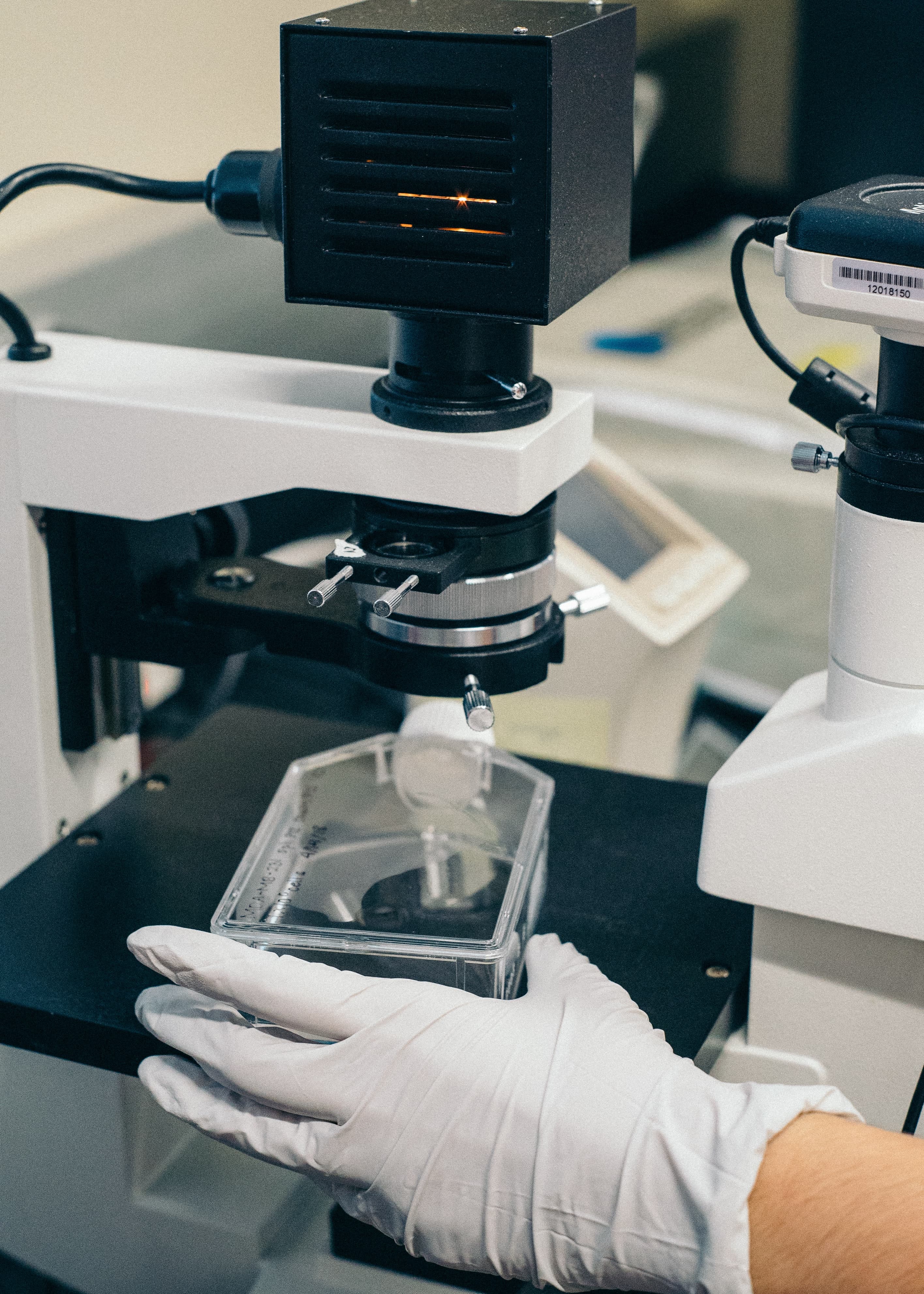 Bedah Jurusan Biologi - Bagaimana Kuliahnya dan Prospek Kerja Lulusannya